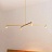 Люстра Austere Ceiling Light 4 плафона  фото 4